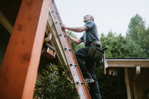 istockphoto 979407722 612x612